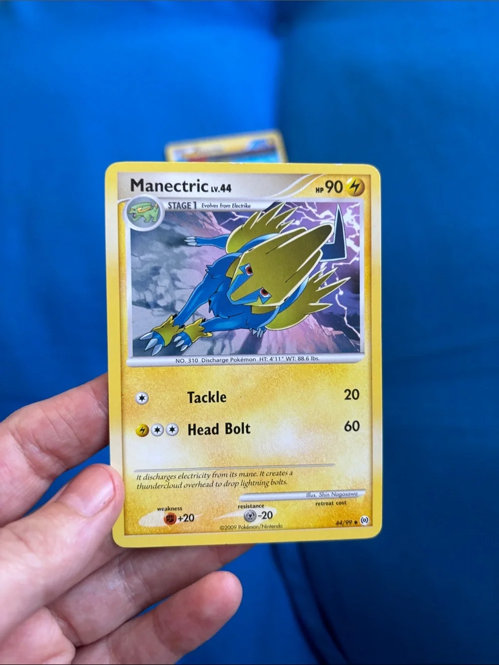 Pokémon Cards Electrike HP 50 2015 Manectric HP90 2009 NWOTS ElectricTypePokemon